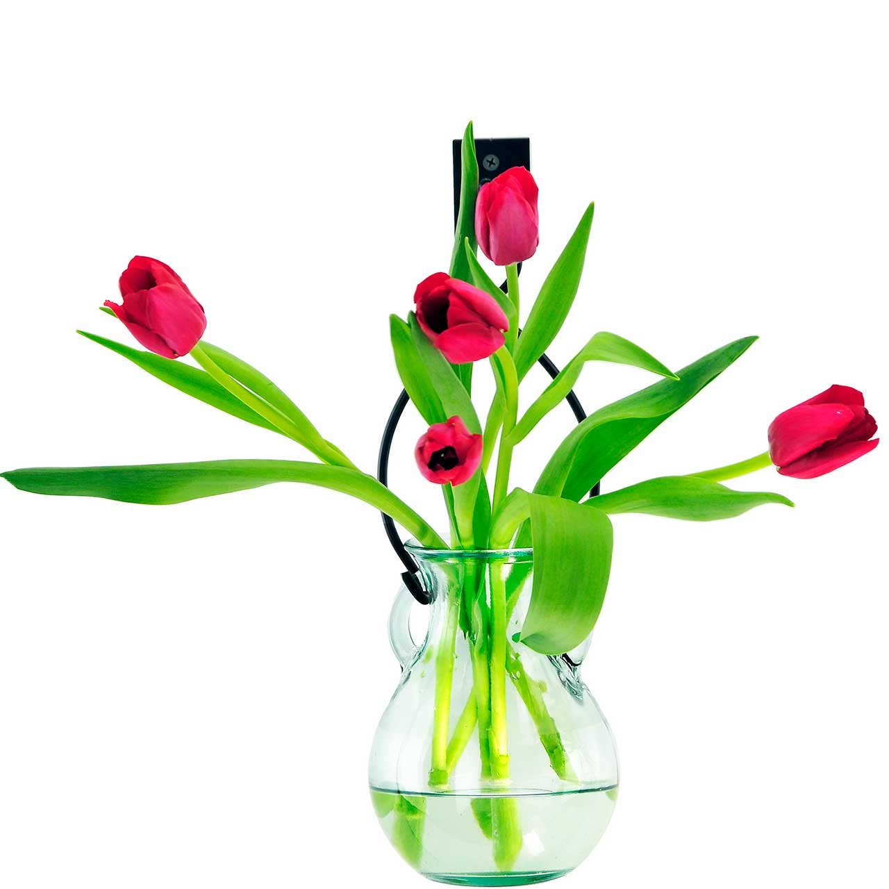 12" French Country Hanging Glass Vase & Wall Hook