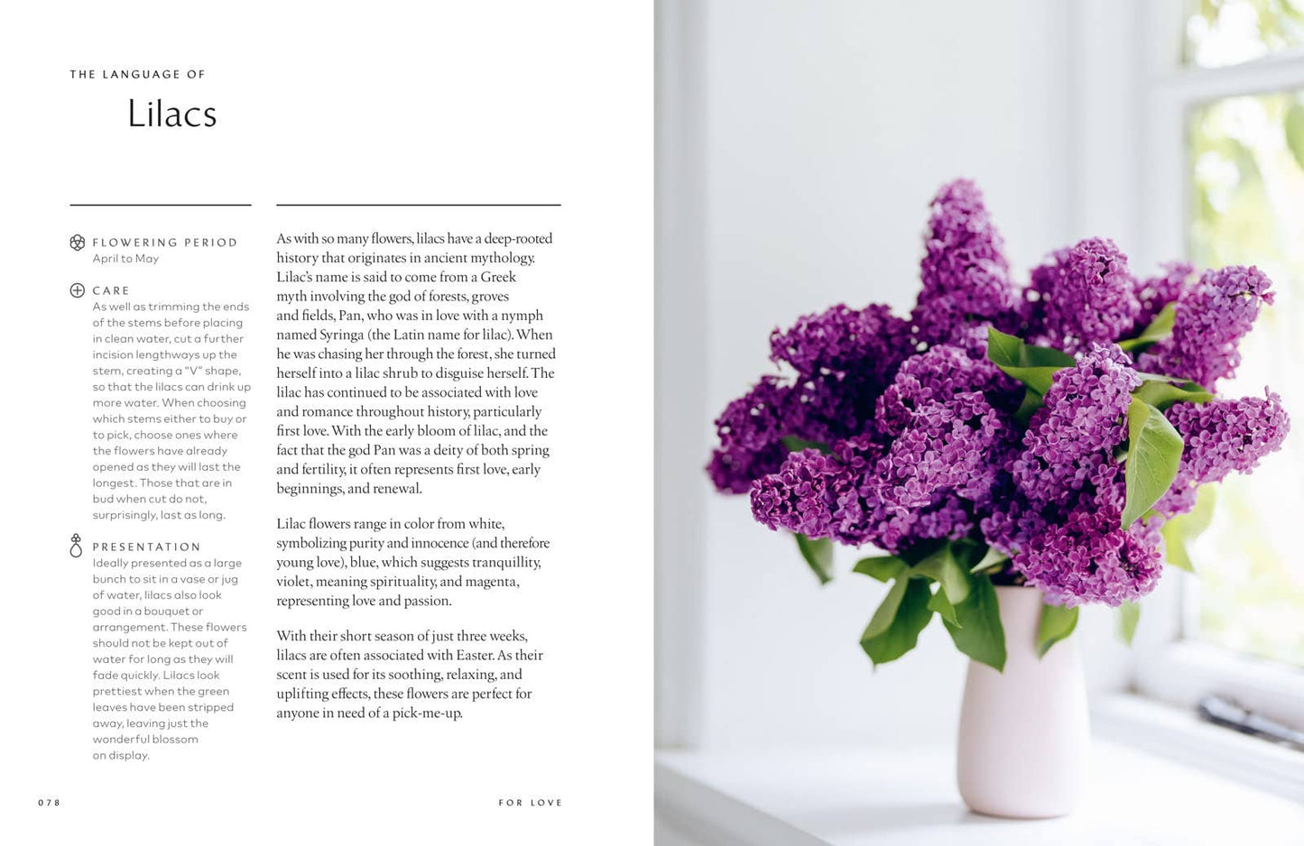 Healing Power of Flowers by Claire Bowen