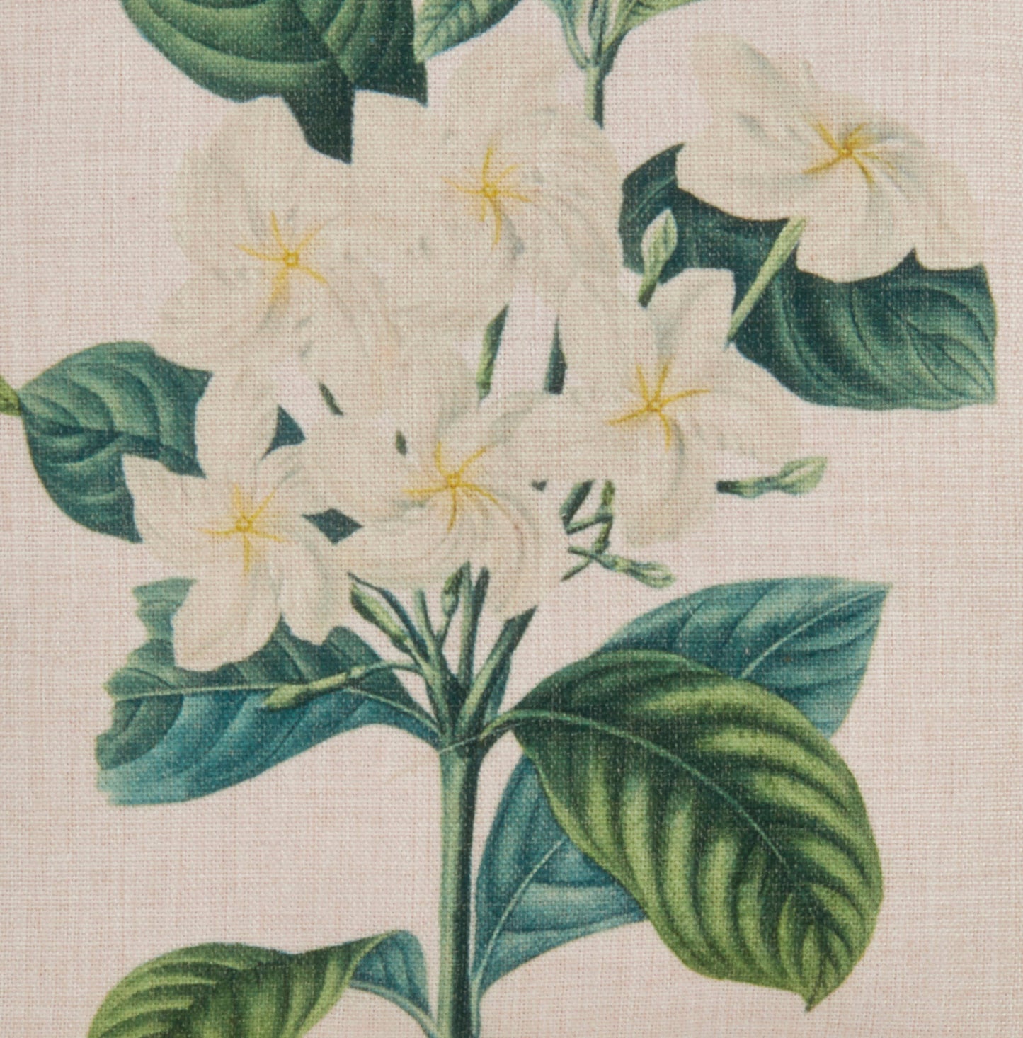 Gardenia Pillow