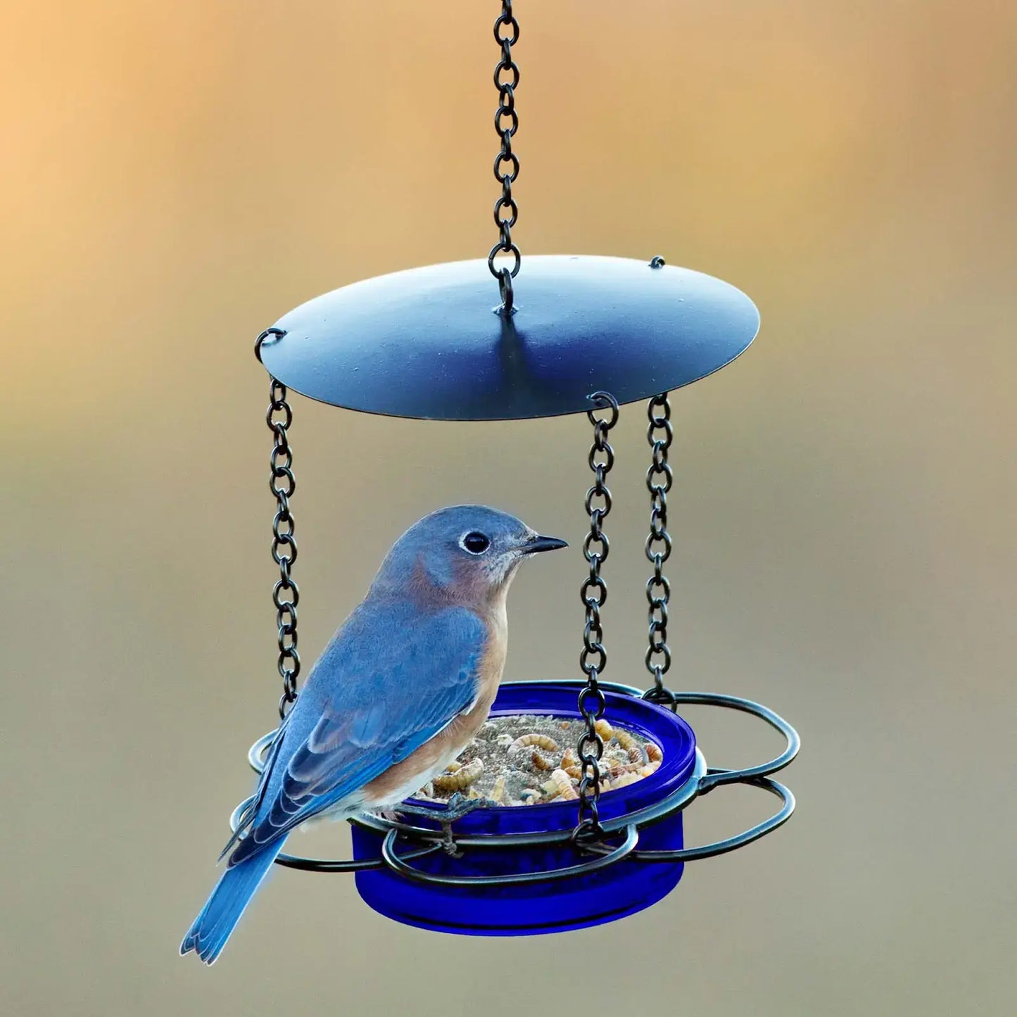 Mosaic Birds Floral Bird Feeder Cobalt