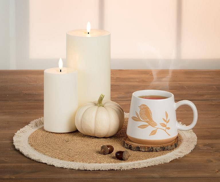 Oversized Mug with Birds on Branch-4"H(17oz)