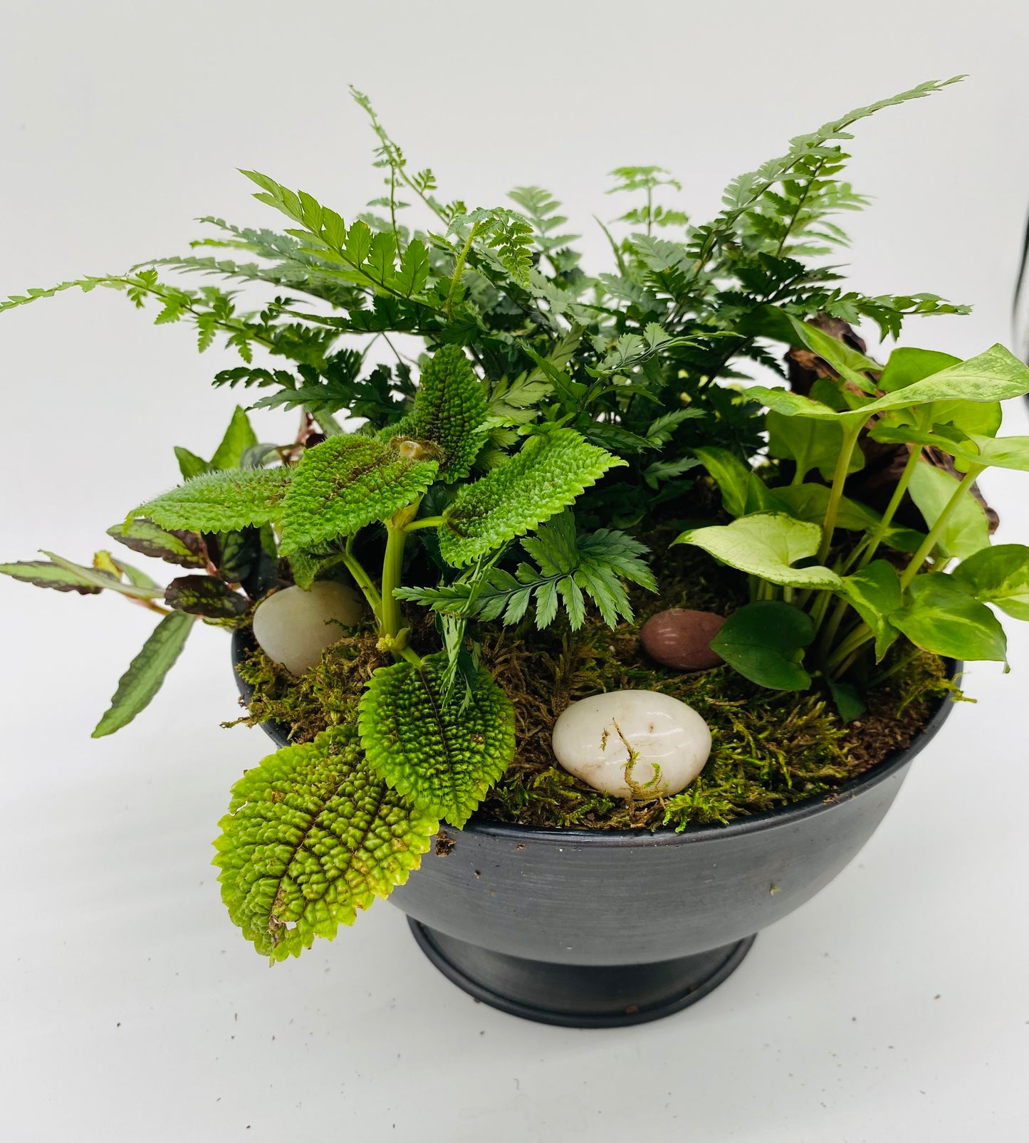 Charming Garden Planter