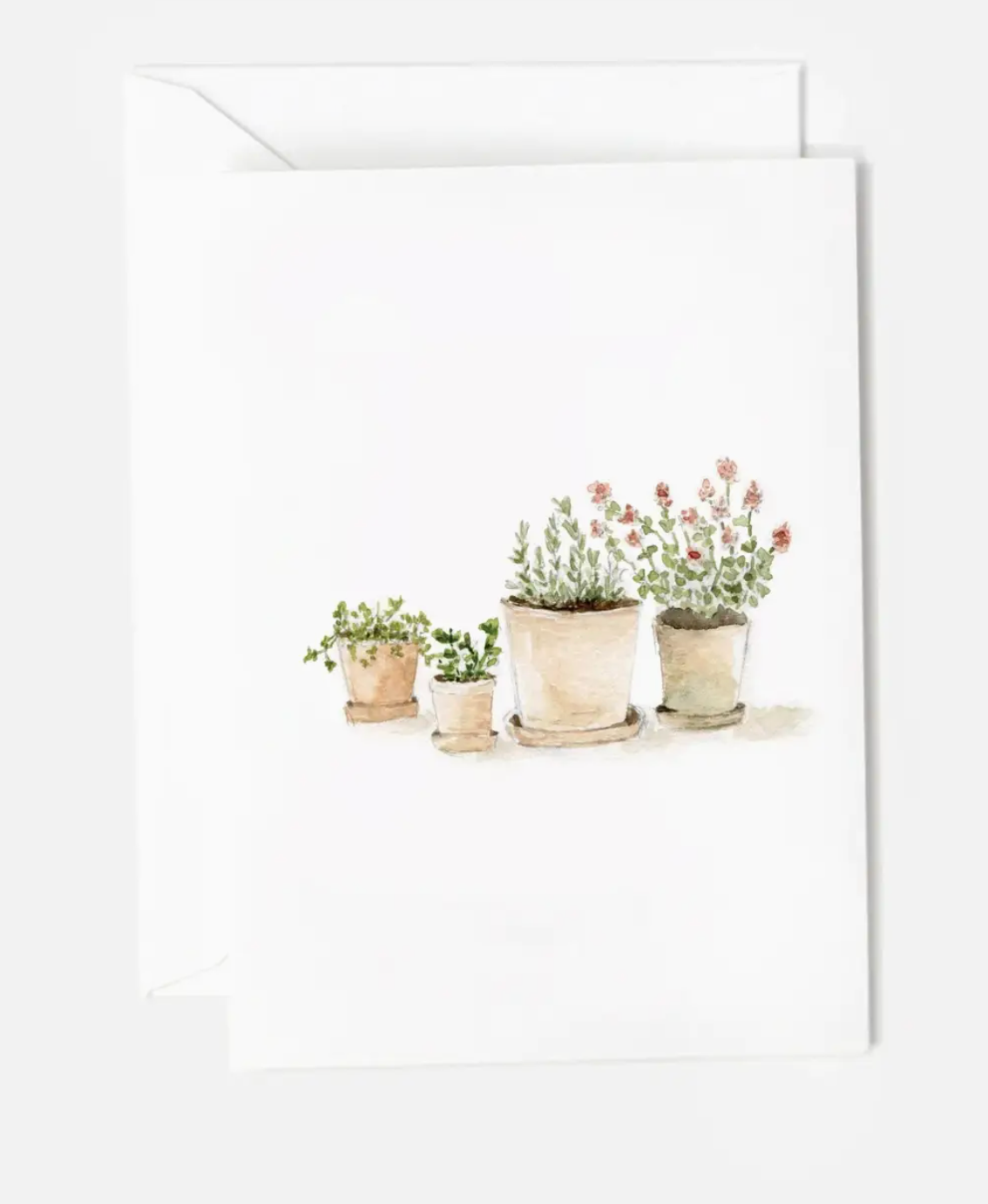 Herbs mini notecard