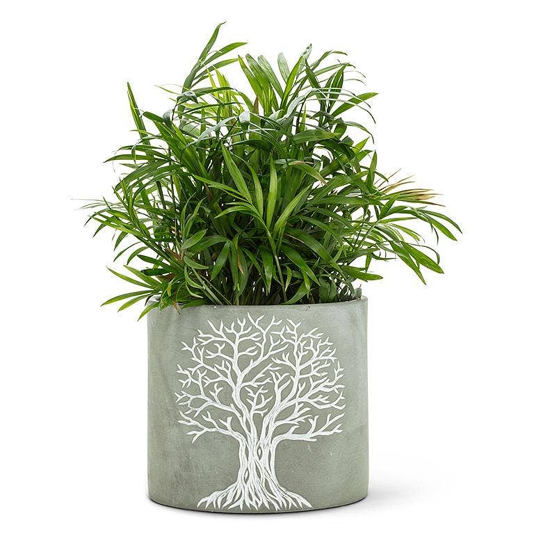 Tree of Life Planters