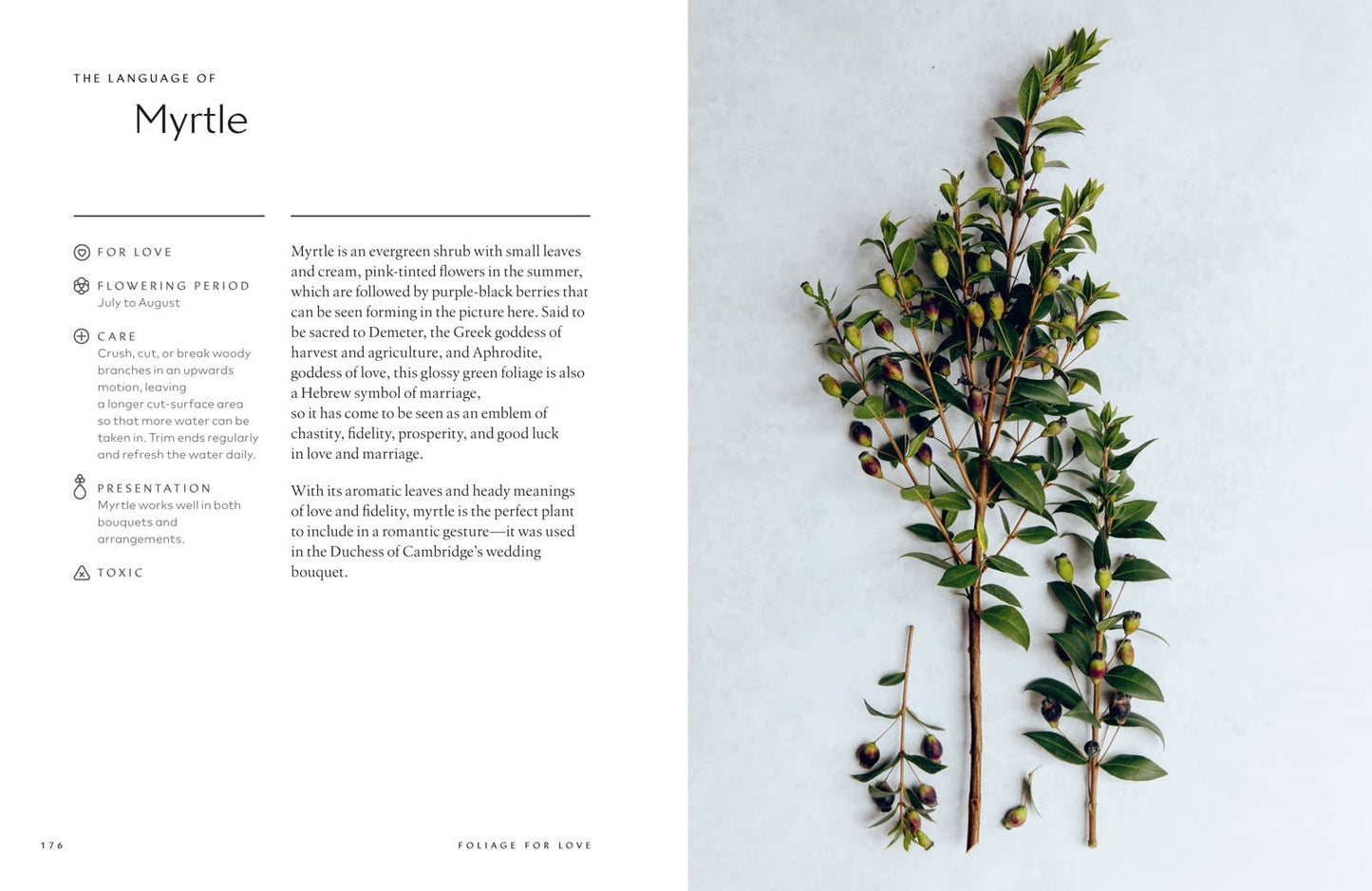 Healing Power of Flowers by Claire Bowen