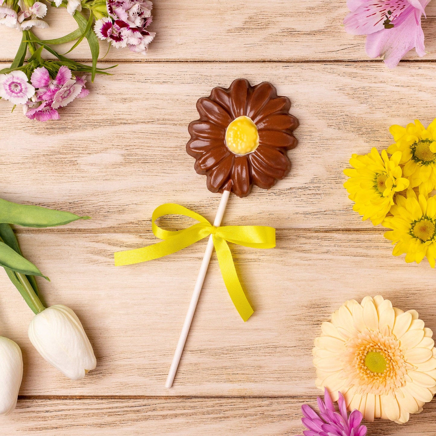 Daisy Chocolate Lolly