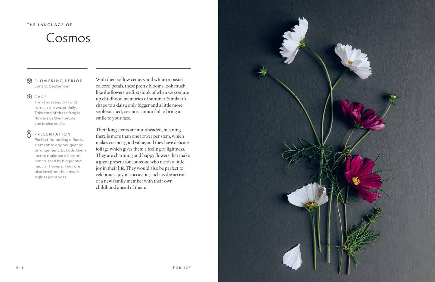 Healing Power of Flowers by Claire Bowen