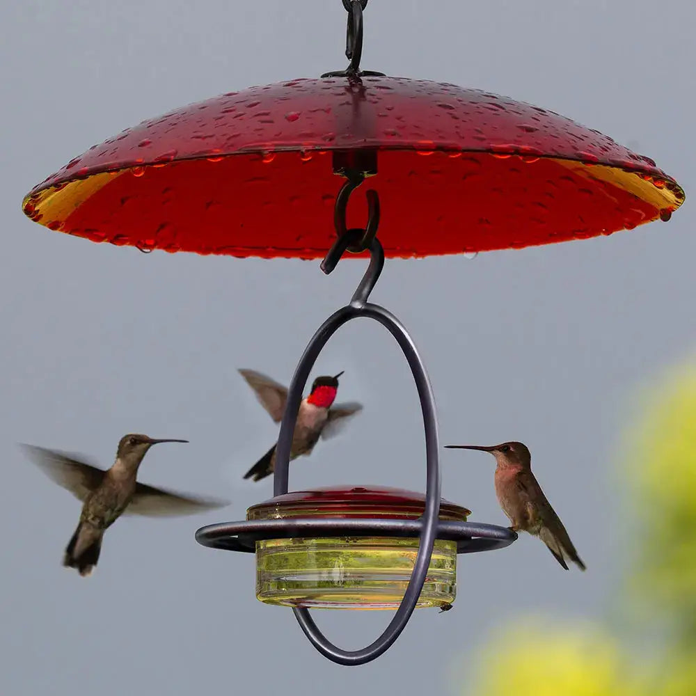 Mosaic Birds Hummble Bold Hummingbird Feeder Black