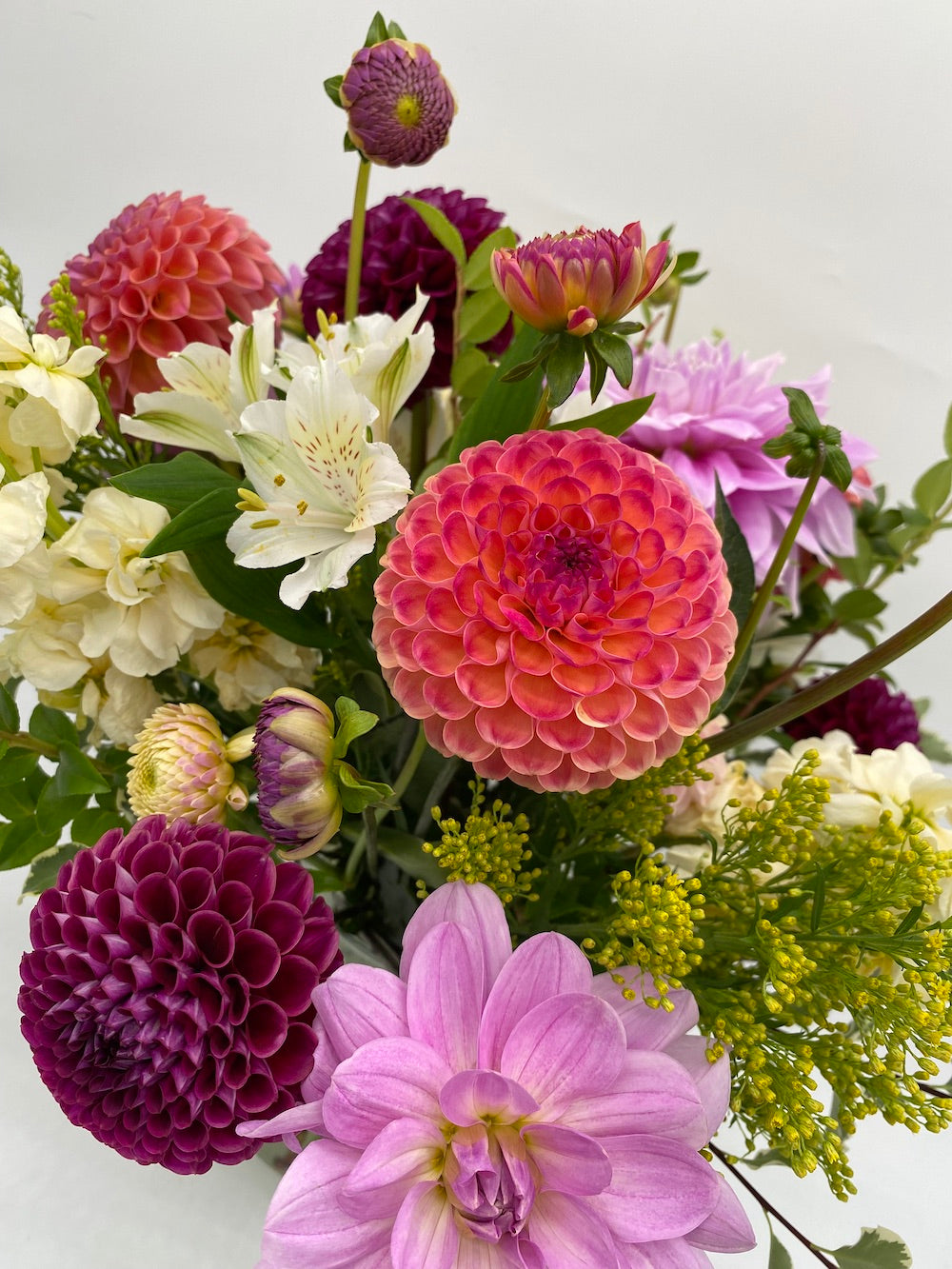 Dahlia Dance