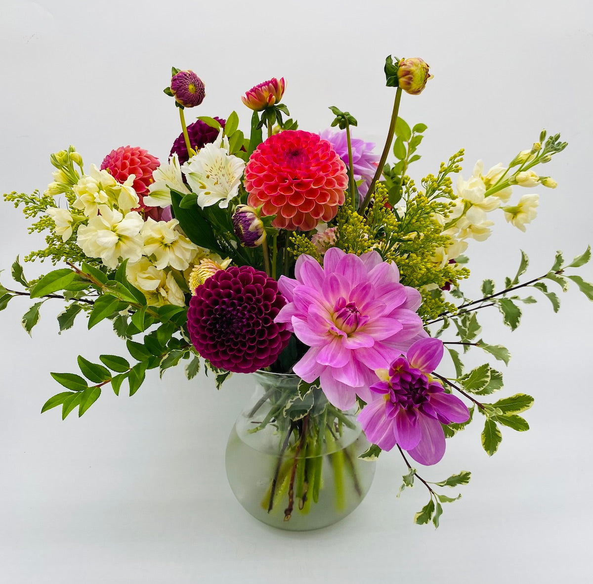 Dahlia Dance