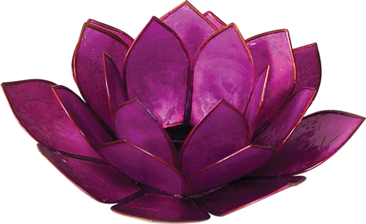 Violet Lotus Capiz Shell Tea Light Holder - 50310E