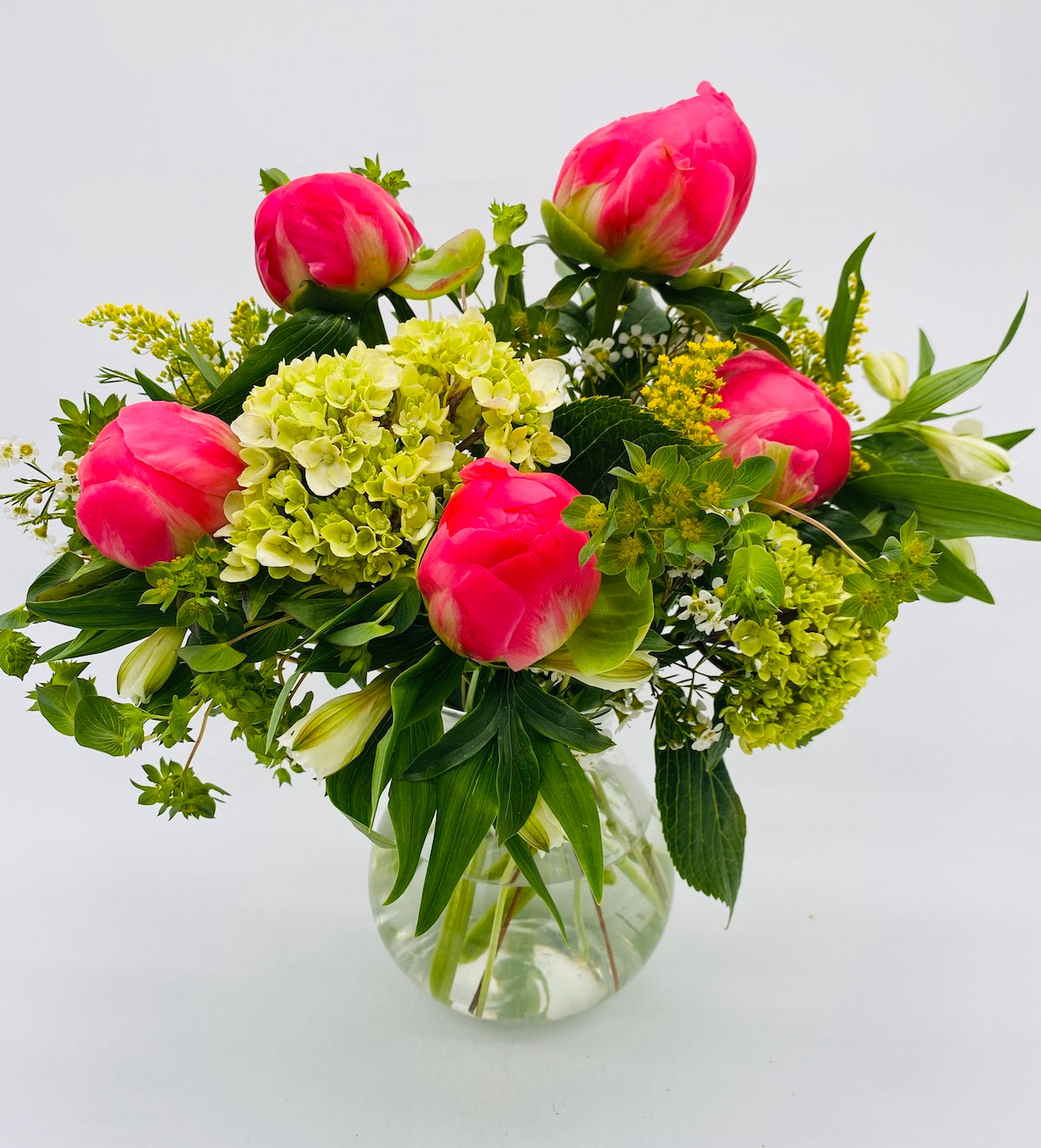 Peony Wishes