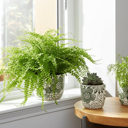 White & Green Ceramic Carved Floral Planters Two Sizes, 6"/8"