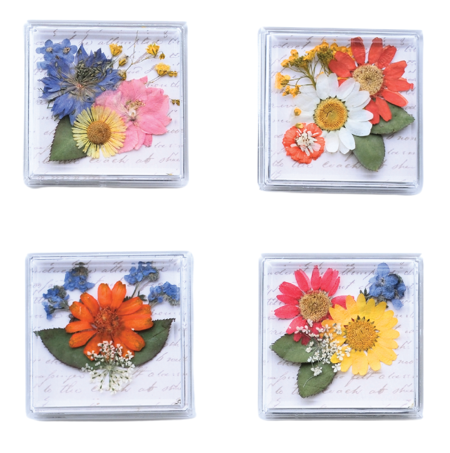Acrylic Magnets - Real Pressed Flowers - Custom Magnet