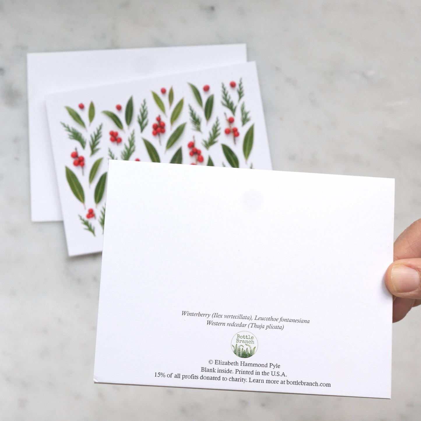 Card - Winterberries