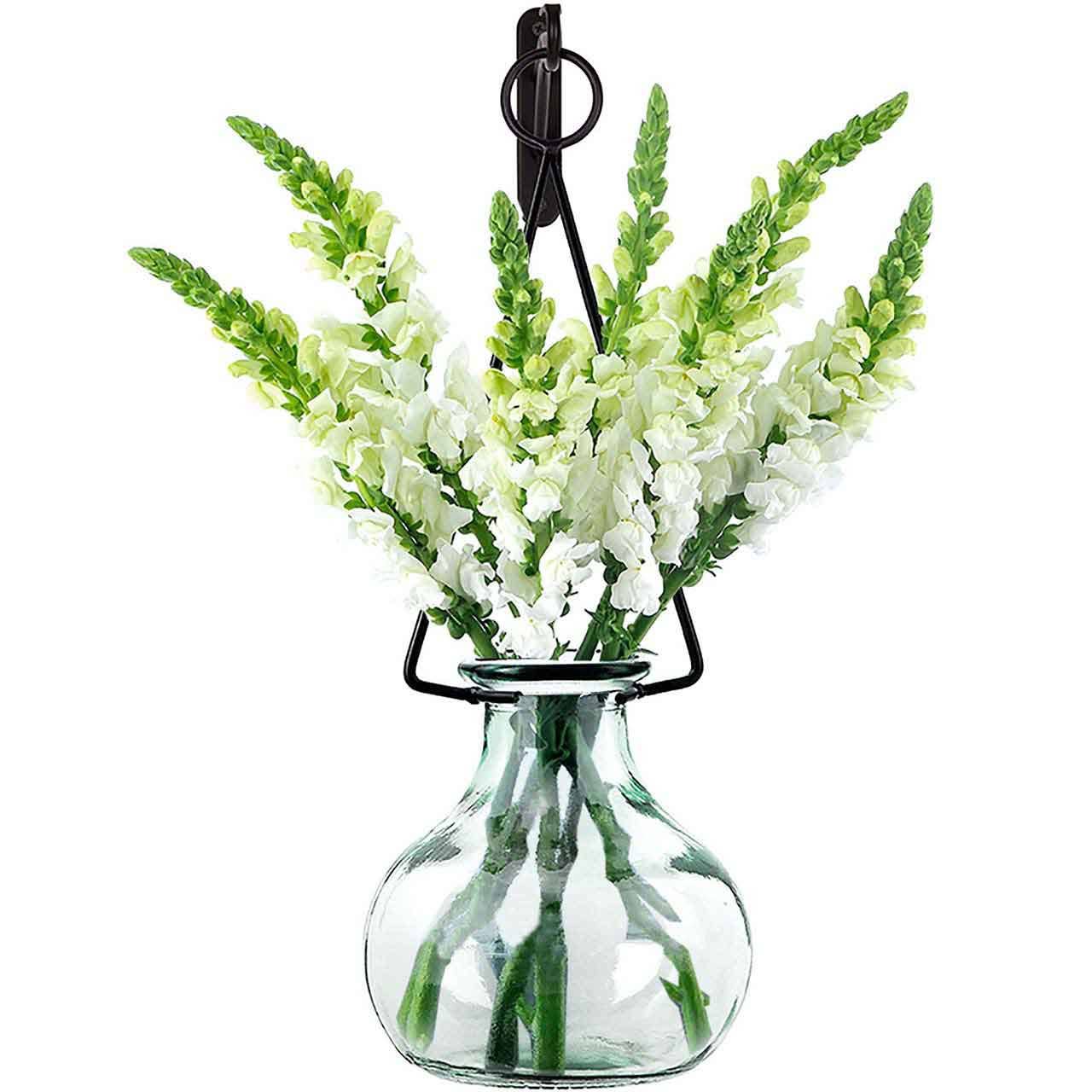 20" Gourd Glass Vase & Metal Hanger