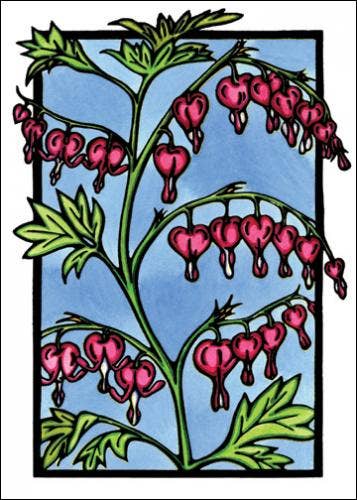 Bleeding Hearts 5x7 Cards