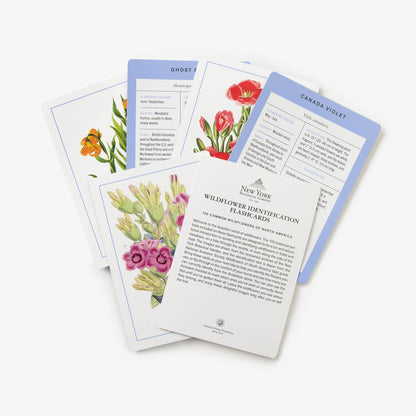 New York Botanical Garden Wildflower ID Flashcards