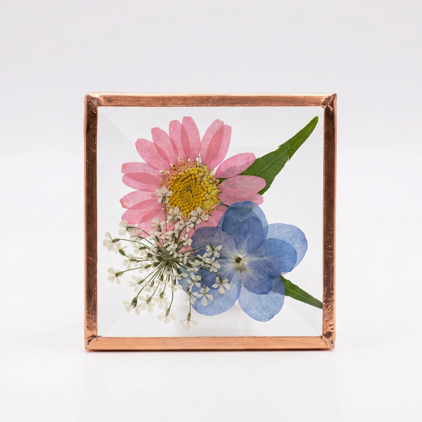 Beveled Glass Magnets - Real Pressed Flowers - Custom Magnet