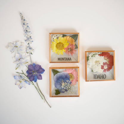 Beveled Glass Magnets - Real Pressed Flowers - Custom Magnet