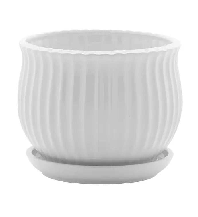 White Ribbed Planter with Scalloped Rim & Saucer