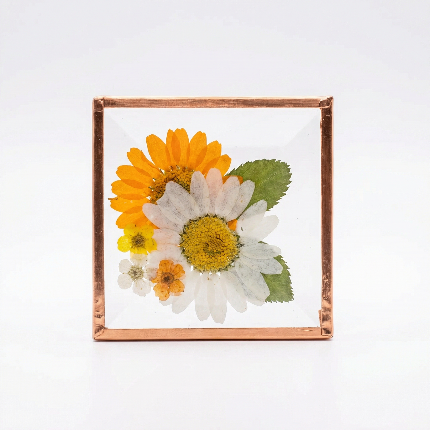 Beveled Glass Magnets - Real Pressed Flowers - Custom Magnet