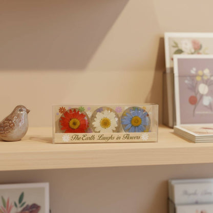 Real Flower Magnet Gift Box - Dried Flowers