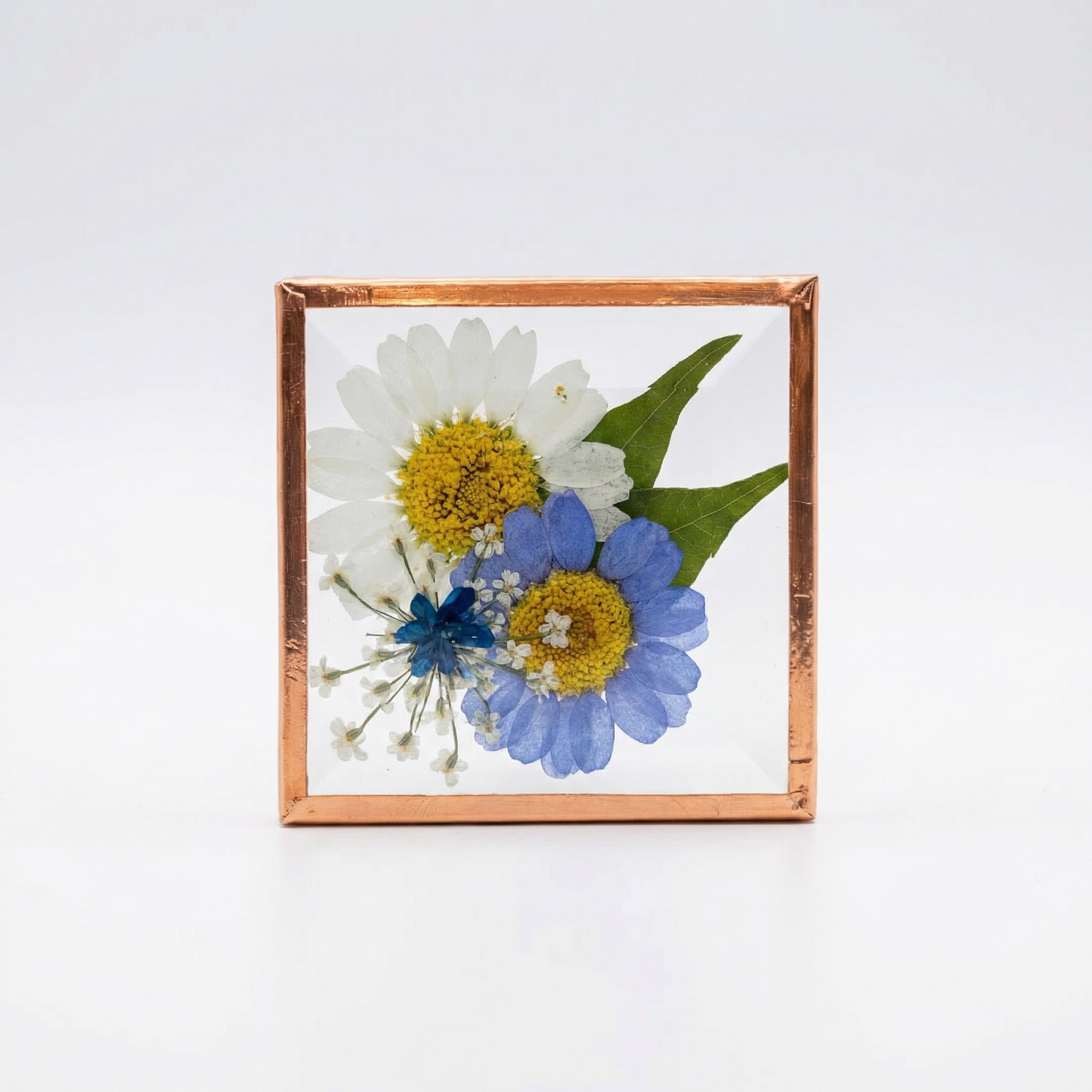 Beveled Glass Magnets - Real Pressed Flowers - Custom Magnet