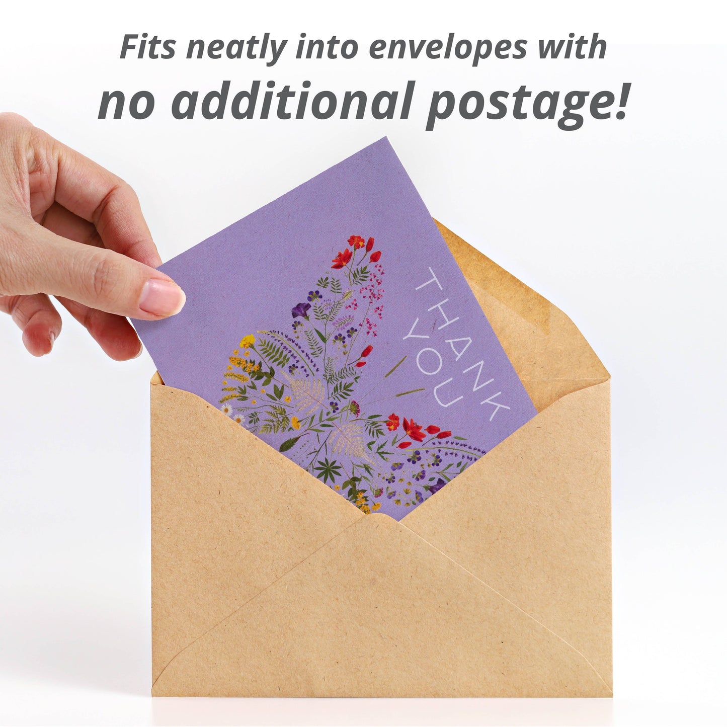 Butterfly Pollinator Flower Mix Seed Packets