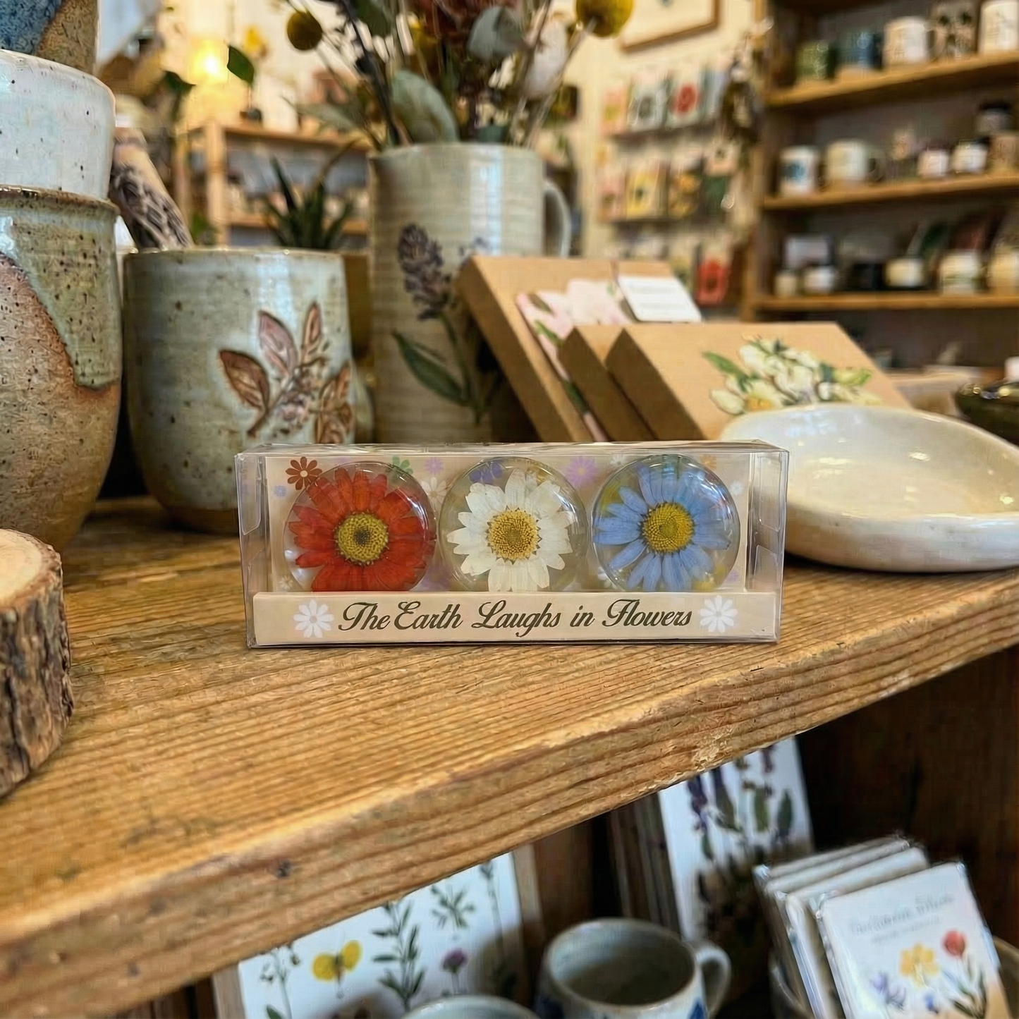Real Flower Magnet Gift Box - Dried Flowers