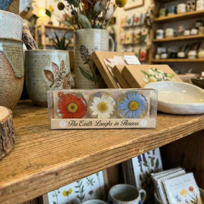 Real Flower Magnet Gift Box - Dried Flowers