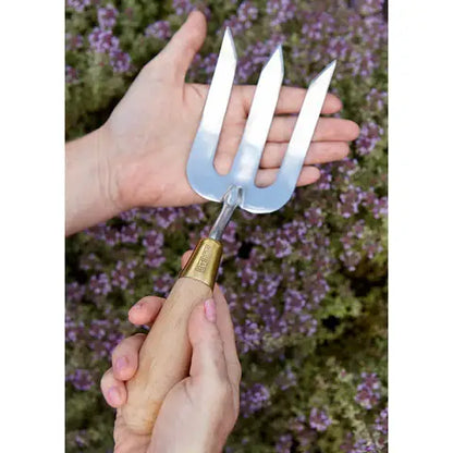 SC Fork
