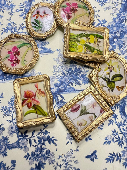 Orchid Botanical Magnets Set of 4