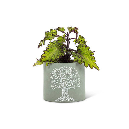 Tree of Life Planters