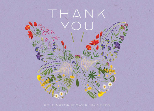 Butterfly Pollinator Flower Mix Seed Packets