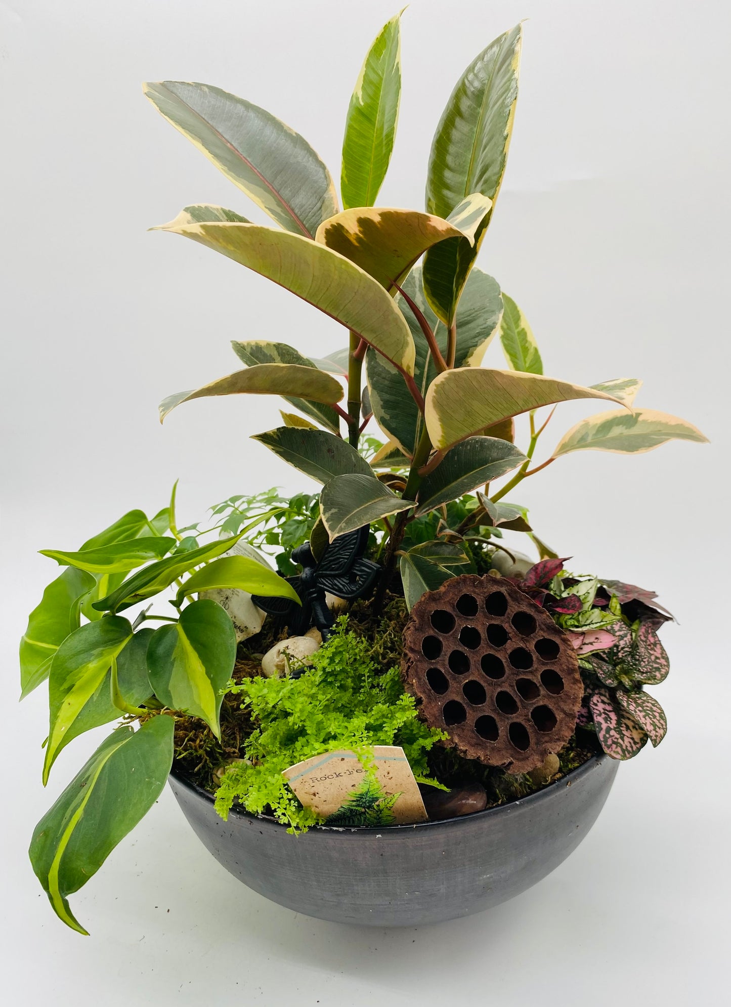 Lush Garden Planter