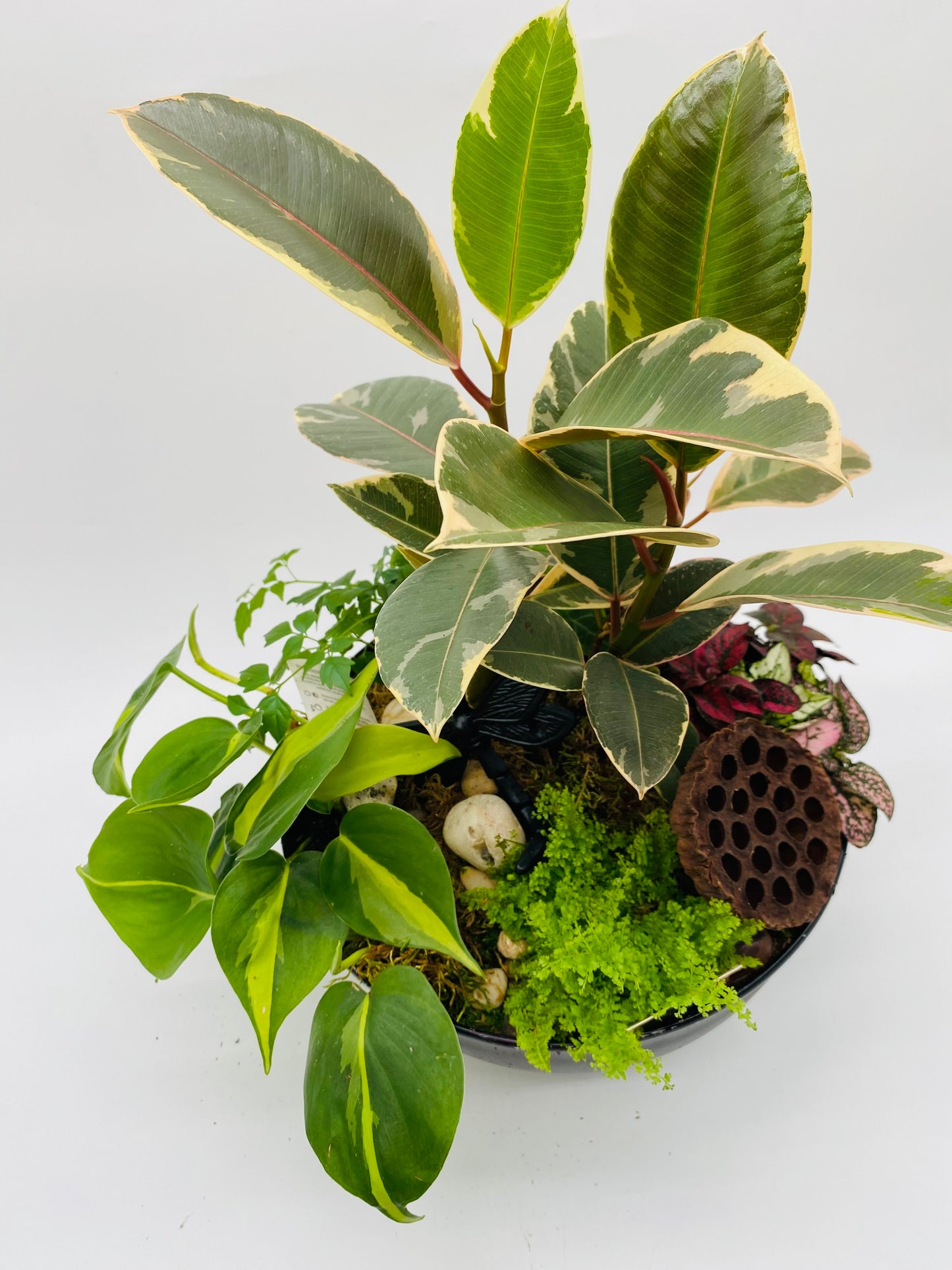 Lush Garden Planter