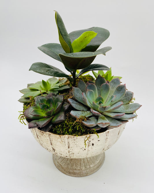 Charming Garden Planter