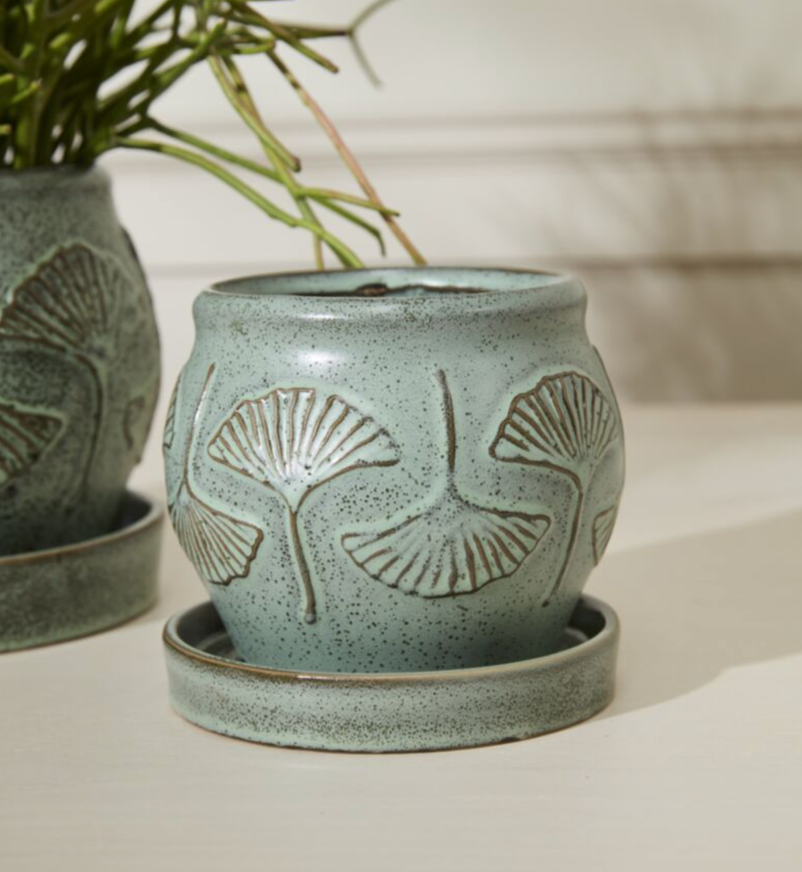 Biloba Pot with Saucer