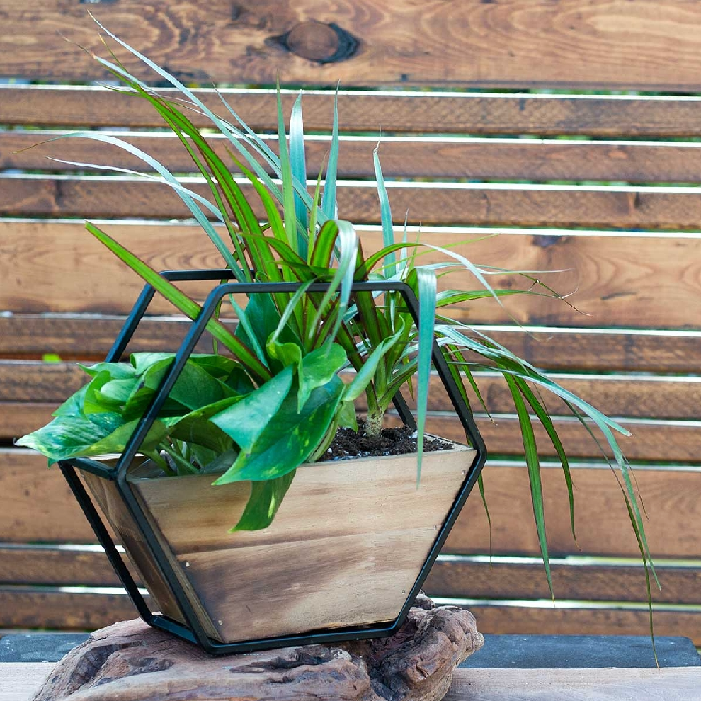 Hexagon Wall Planter