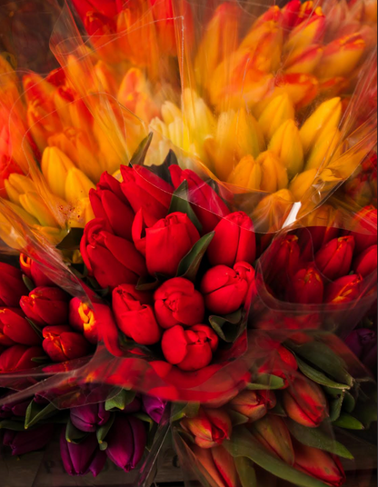 Martini Brunch + bLoom 4/10 6-8PM