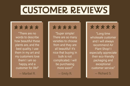 Ivory Ceramic Container