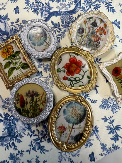 Vintage Floral Poppy Magnets Set of 4