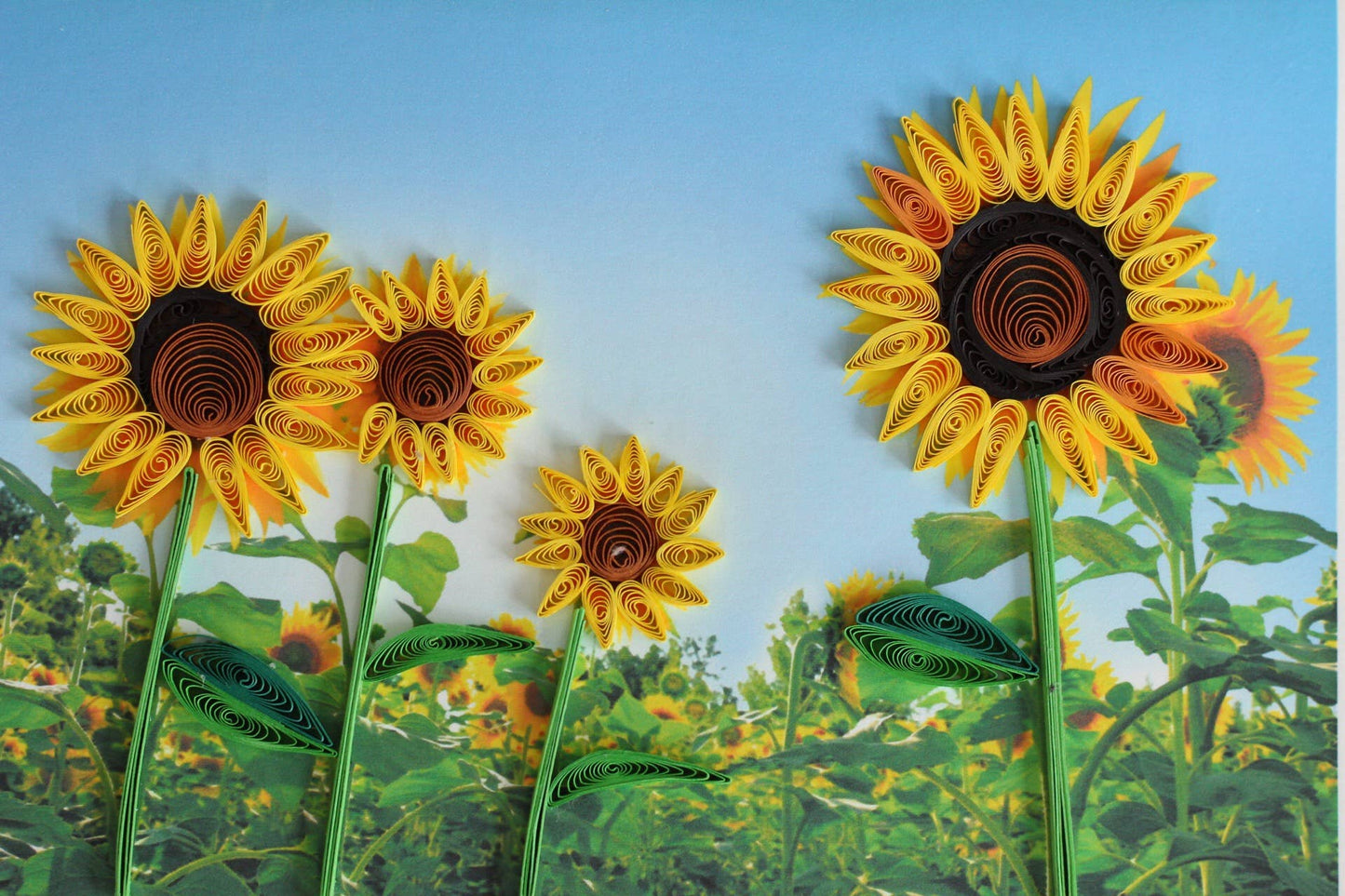 Sunflower Power