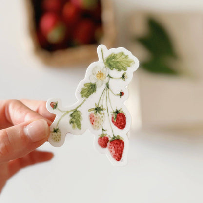 Strawberry sticker