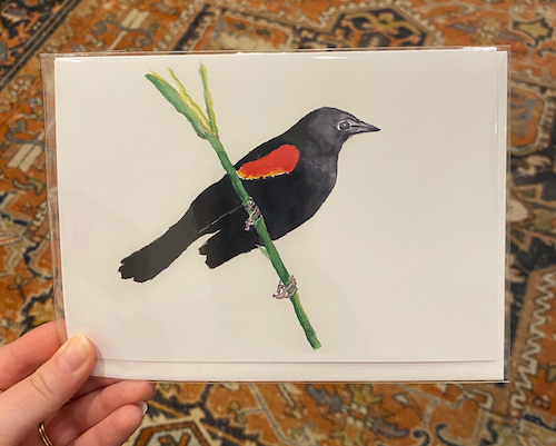 Jan Bowen Watercolor 5x7 Cards