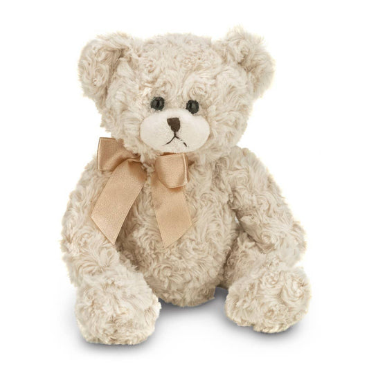 Hank the Teddy Bear