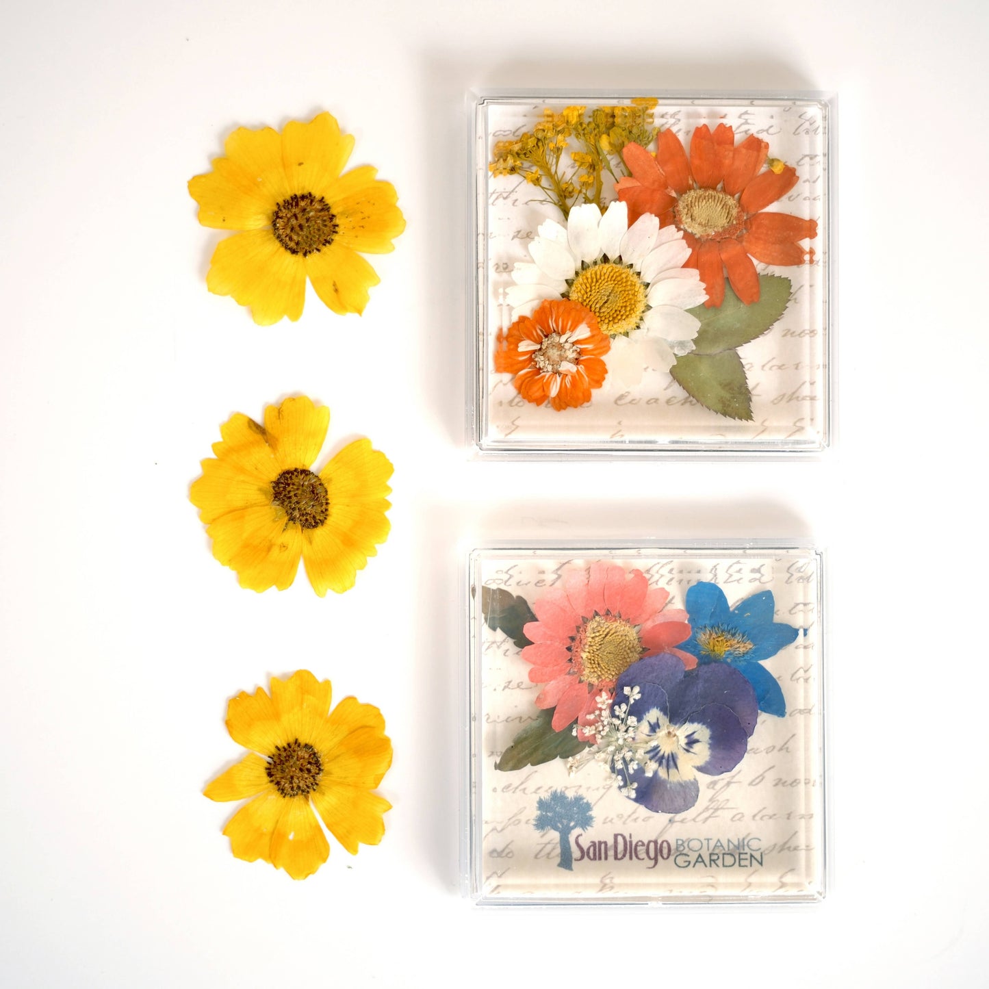 Acrylic Magnets - Real Pressed Flowers - Custom Magnet