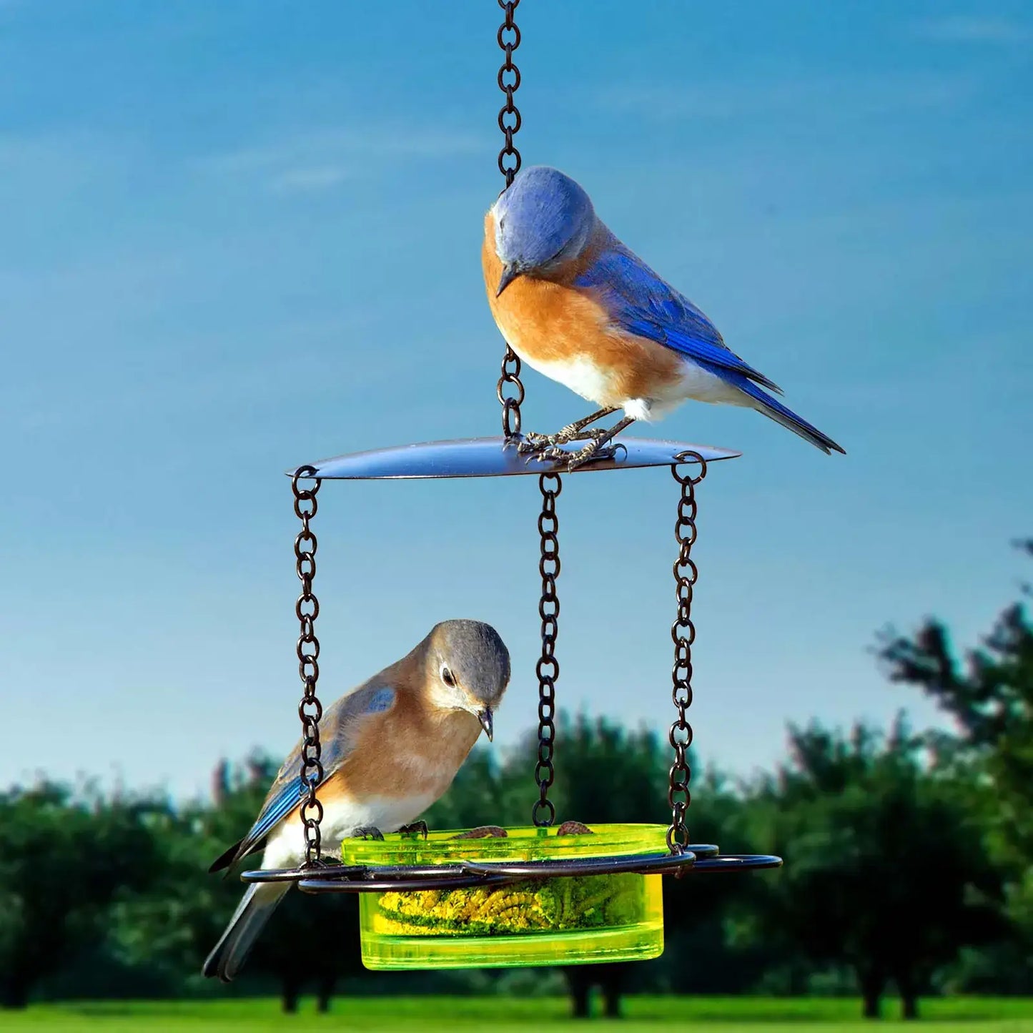 Mosaic Birds Floral Bird Feeder Lime