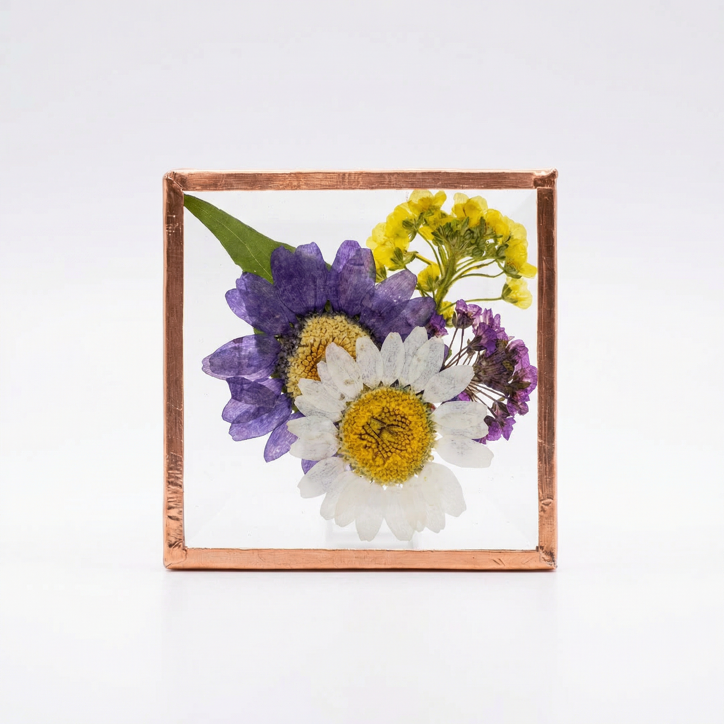 Beveled Glass Magnets - Real Pressed Flowers - Custom Magnet